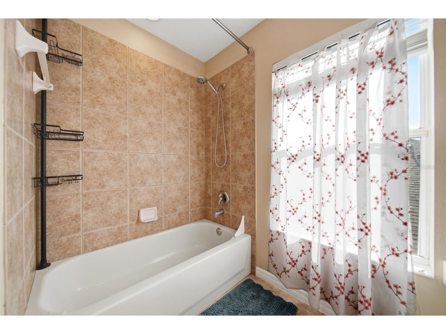 2391 Sabastian St Mount Dora FL 32757 G5115348 image40