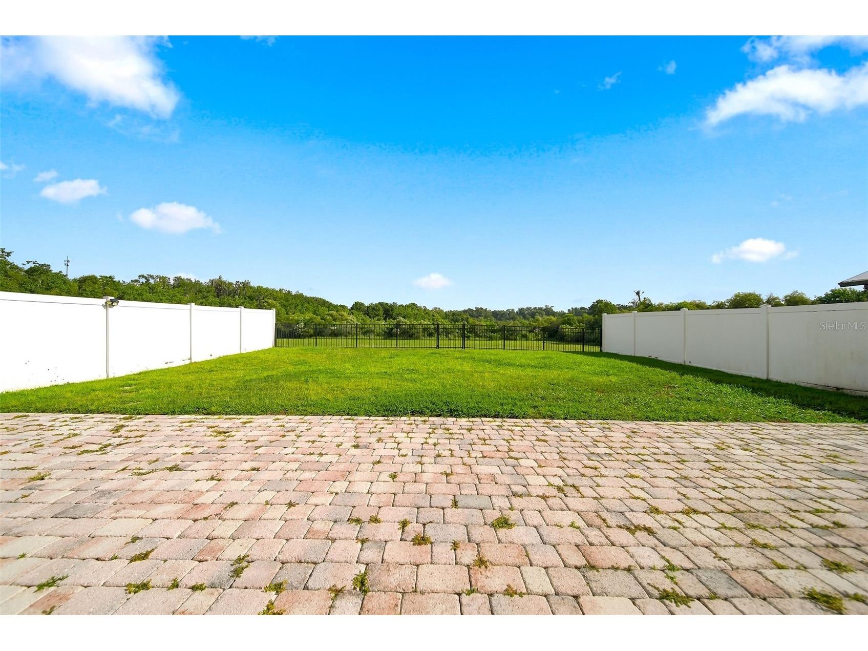 2391 Sabastian St Mount Dora FL 32757 G5115348 image43