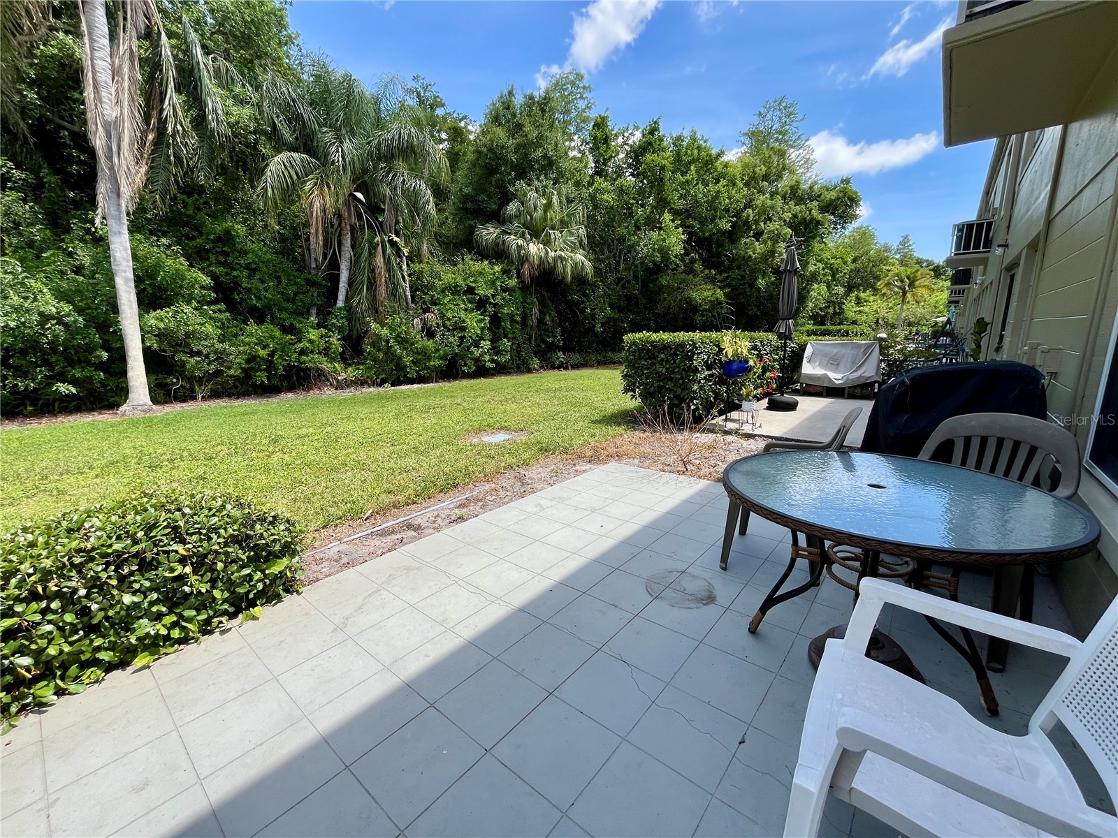 2391 Sumatran Way #17 Clearwater FL 33763 TB8506245 image25