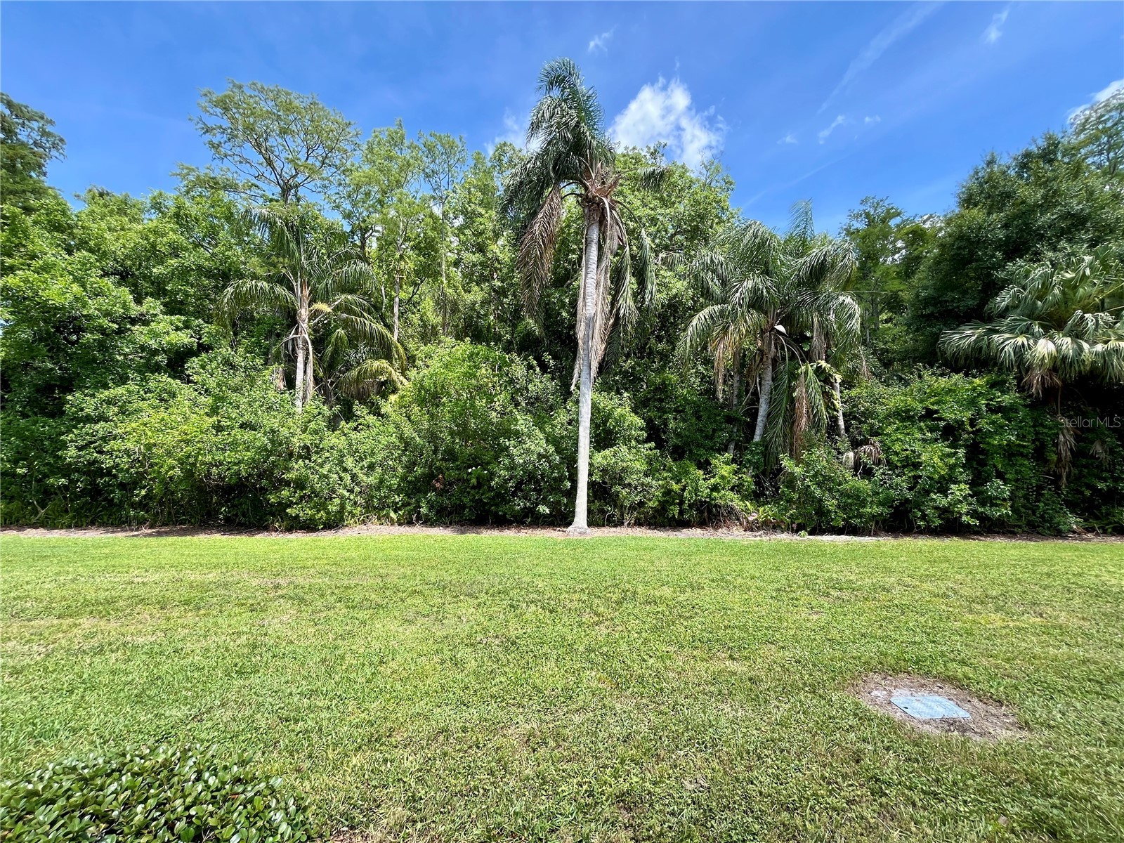 2391 Sumatran Way #17 Clearwater FL 33763 TB8506245 image28