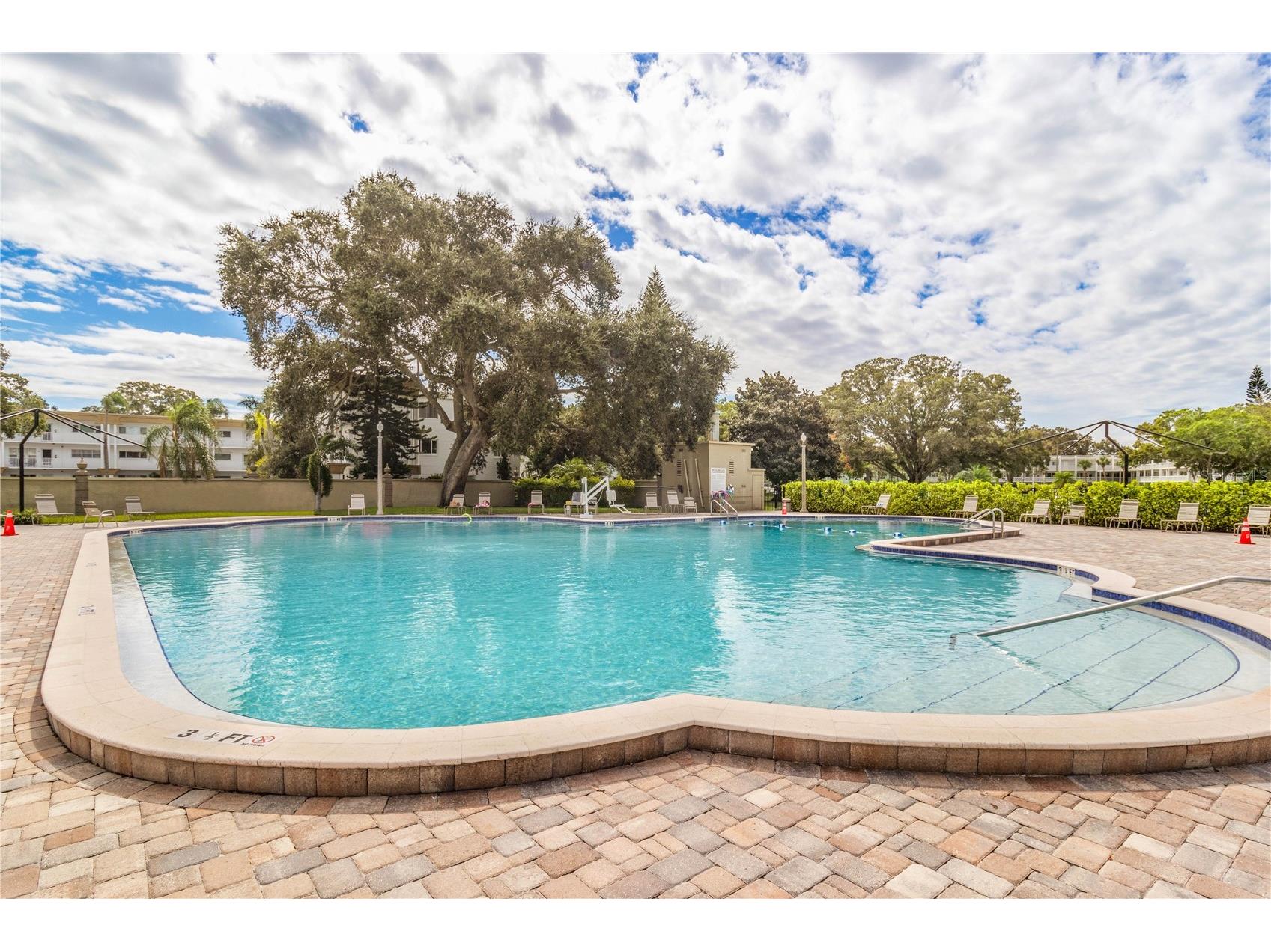 2391 Sumatran Way #17 Clearwater FL 33763 TB8506245 image42