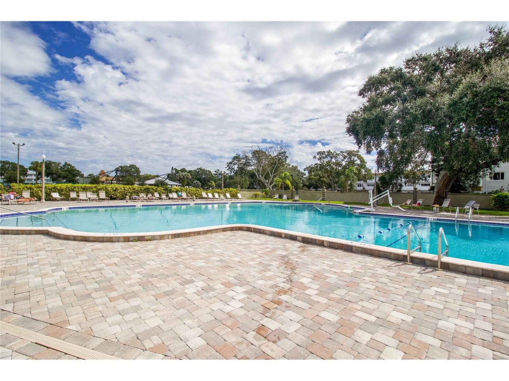 2391 Sumatran Way #17 Clearwater FL 33763 TB8506245 image43