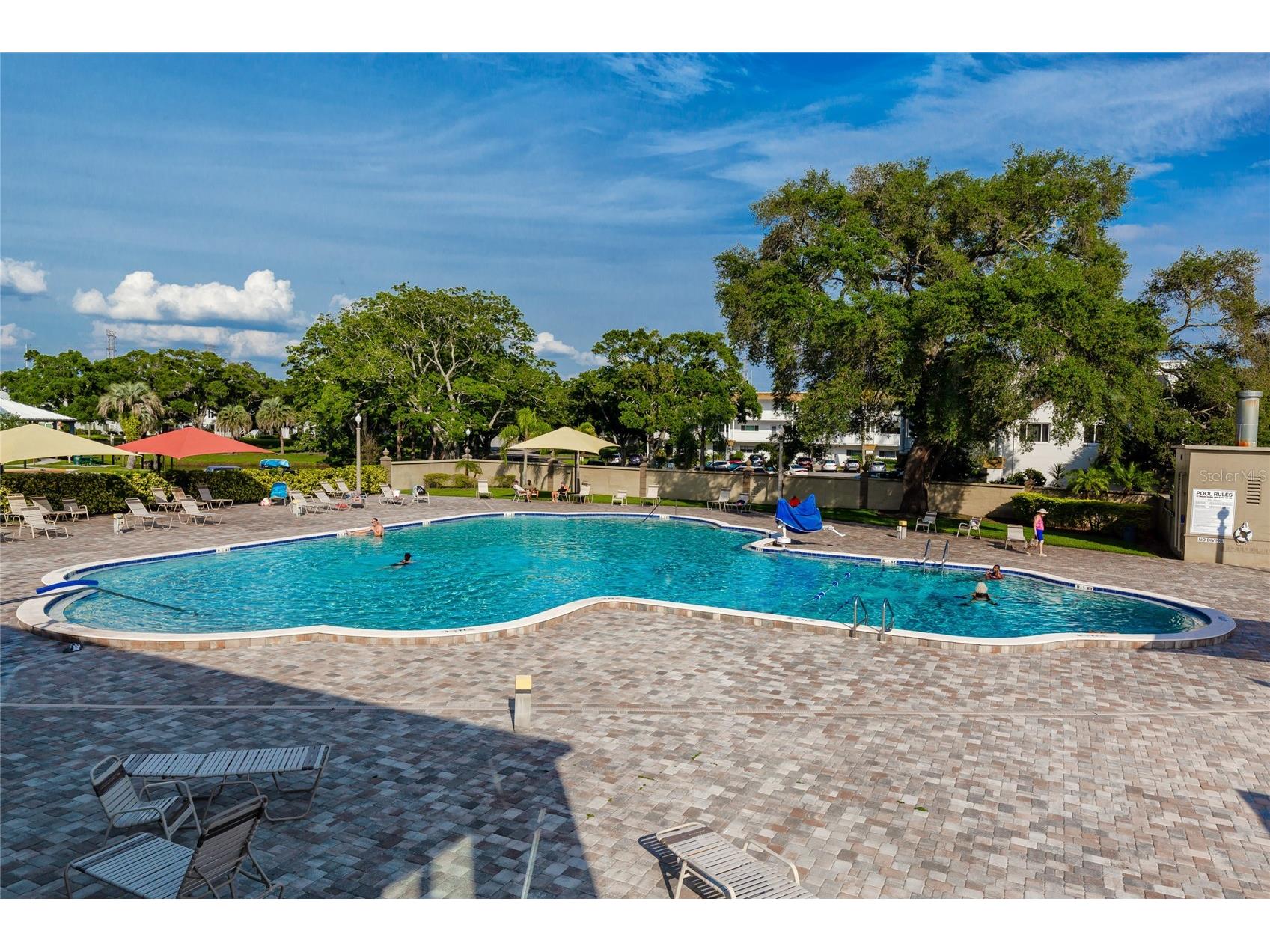 2391 Sumatran Way #53 Clearwater FL 33763 TB8483145 image18