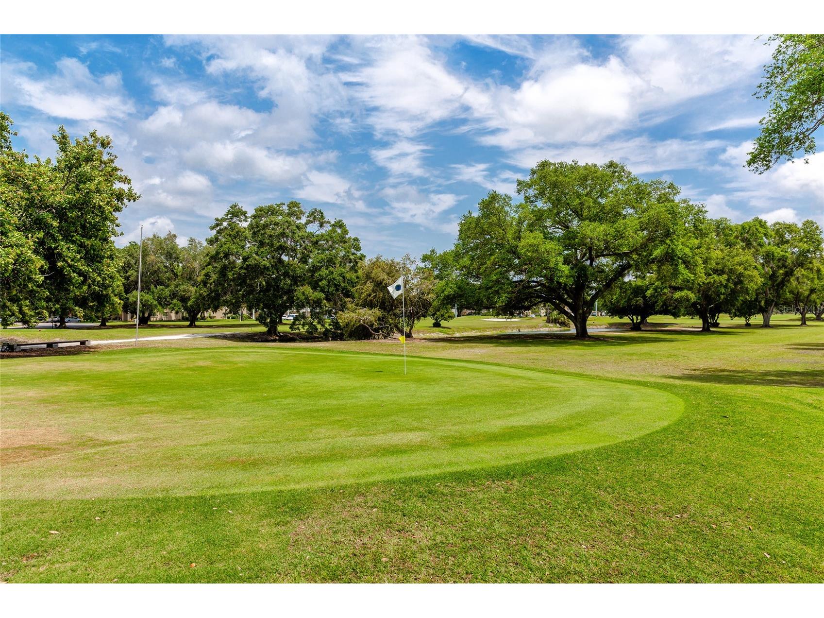 2391 Sumatran Way #53 Clearwater FL 33763 TB8483145 image19