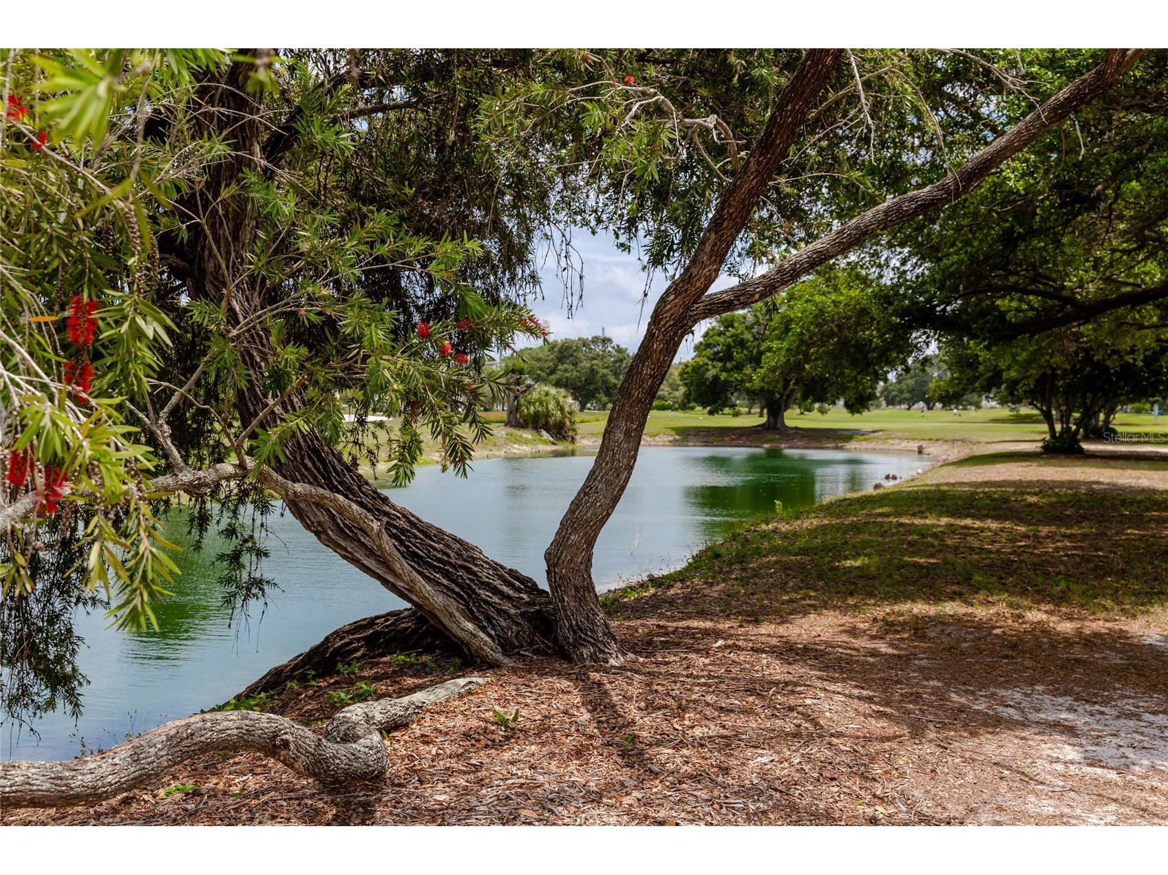 2391 Sumatran Way #53 Clearwater FL 33763 TB8483145 image20