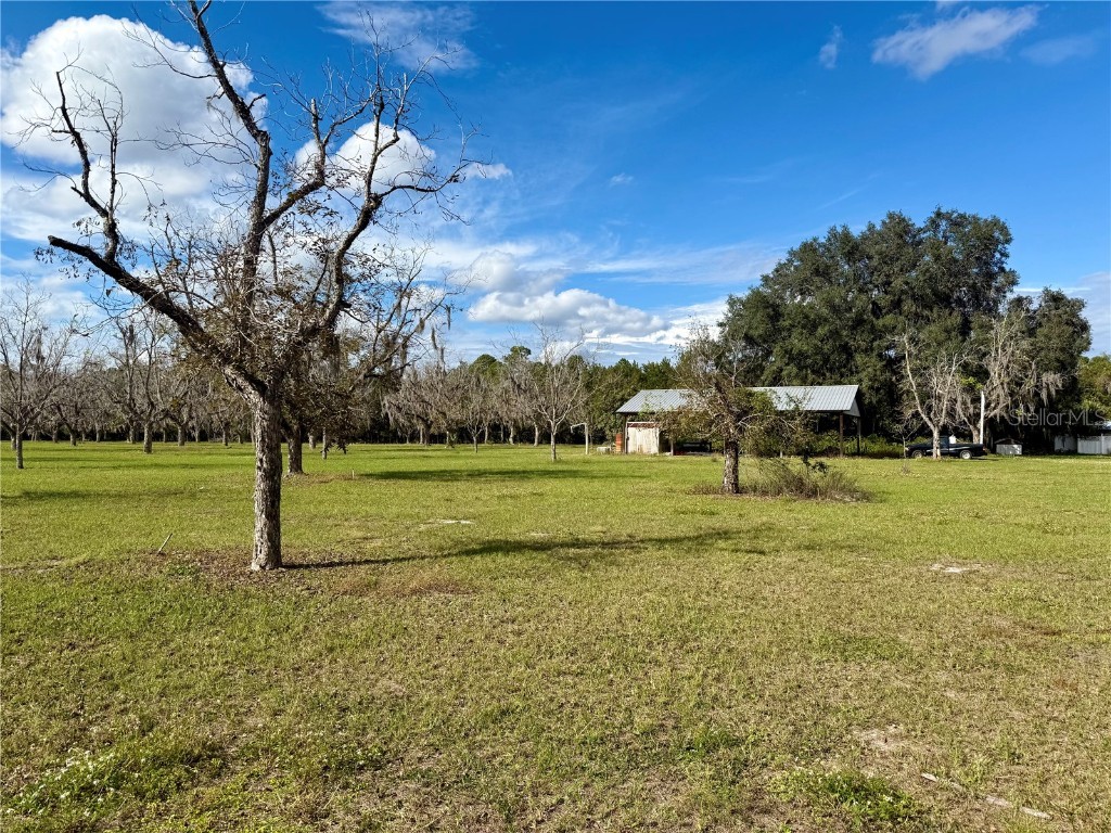 23915 NE State Rd 26 Melrose FL 32666 GC535885 image39
