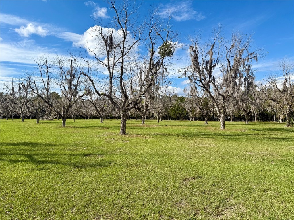 23915 NE State Rd 26 Melrose FL 32666 GC535885 image40