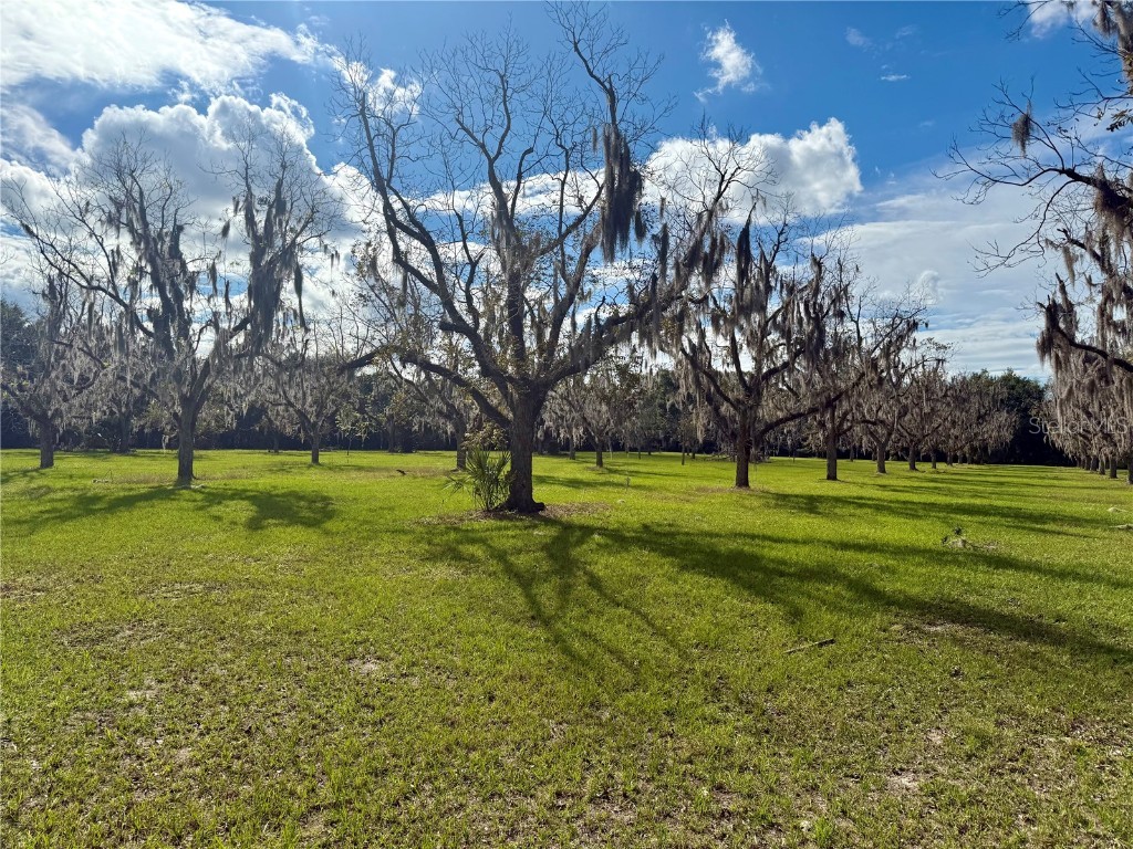 23915 NE State Rd 26 Melrose FL 32666 GC535885 image41