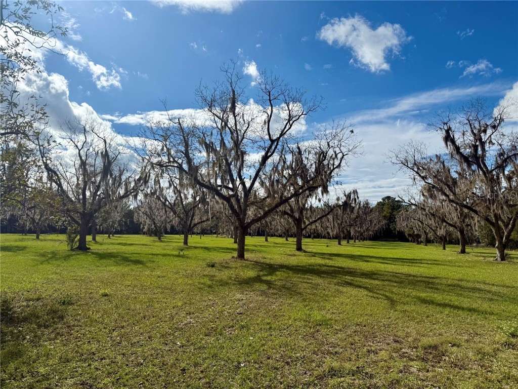 23915 NE State Rd 26 Melrose FL 32666 GC535885 image43