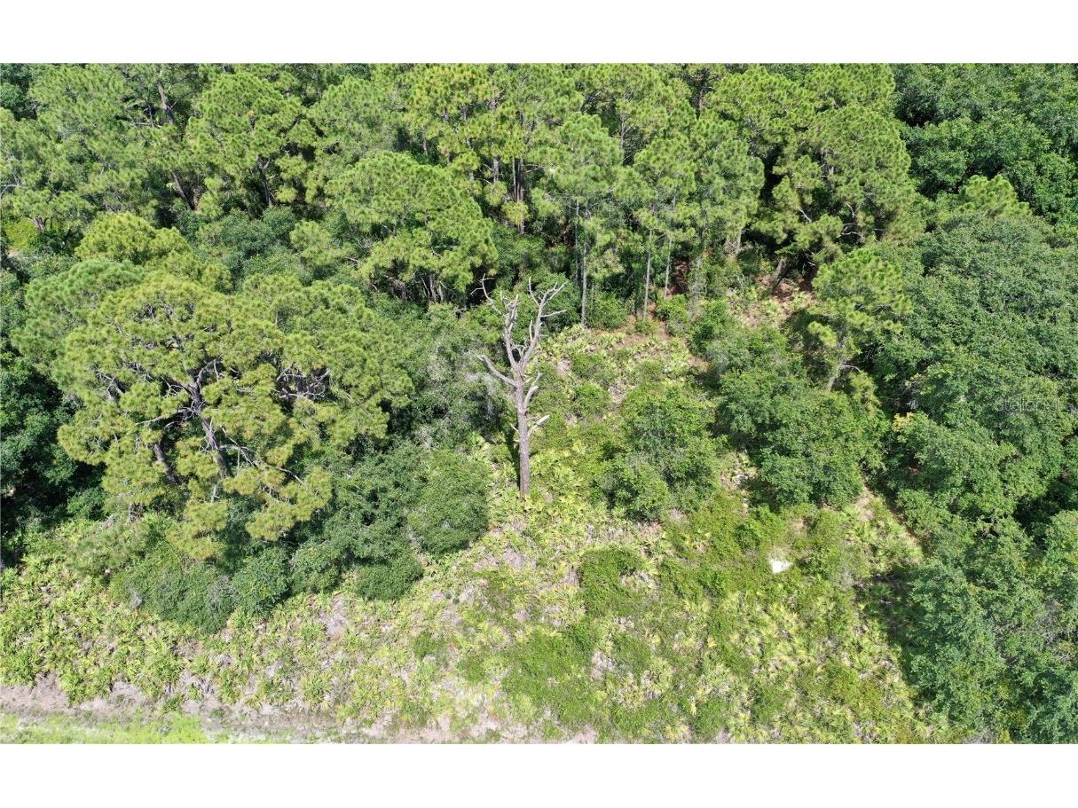 2392 Dodge Street Port Charlotte FL 33948 N6116881 image1