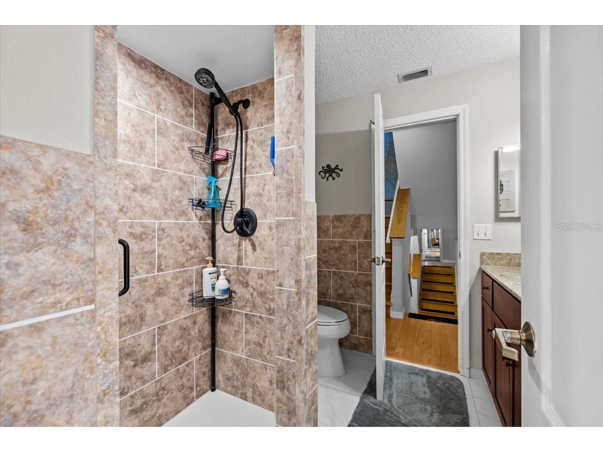 2392 Hanover Drive Dunedin FL 34698 TB8466404 image24
