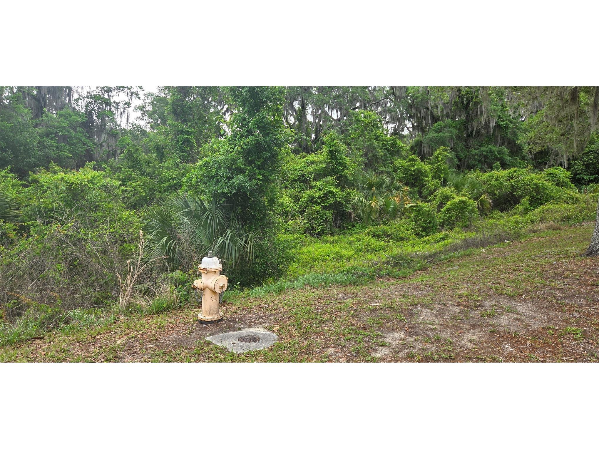 2392 N Heritage Oaks Path Hernando FL 34442 OM722452 image1