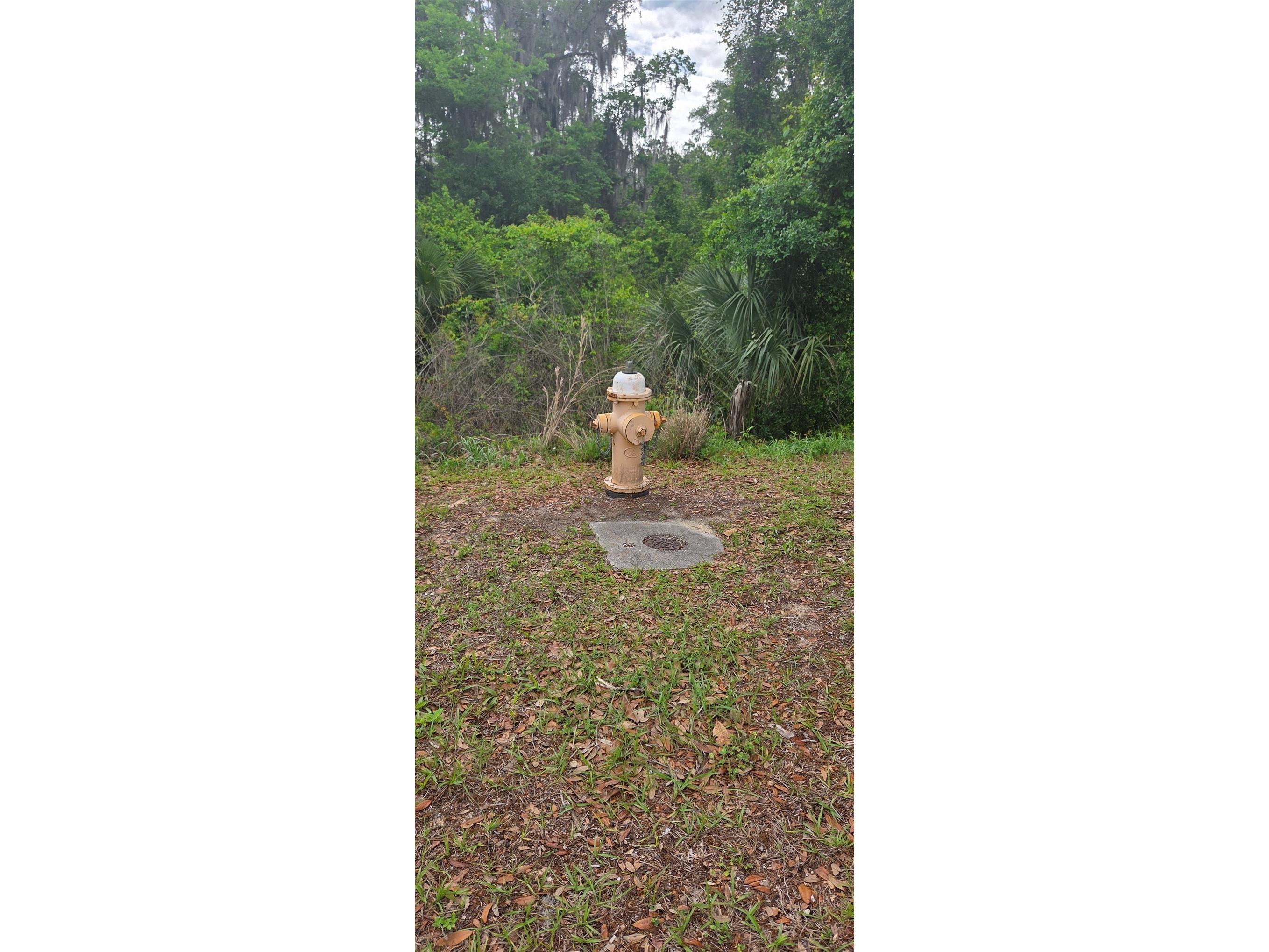 2392 N Heritage Oaks Path Hernando FL 34442 OM722452 image12