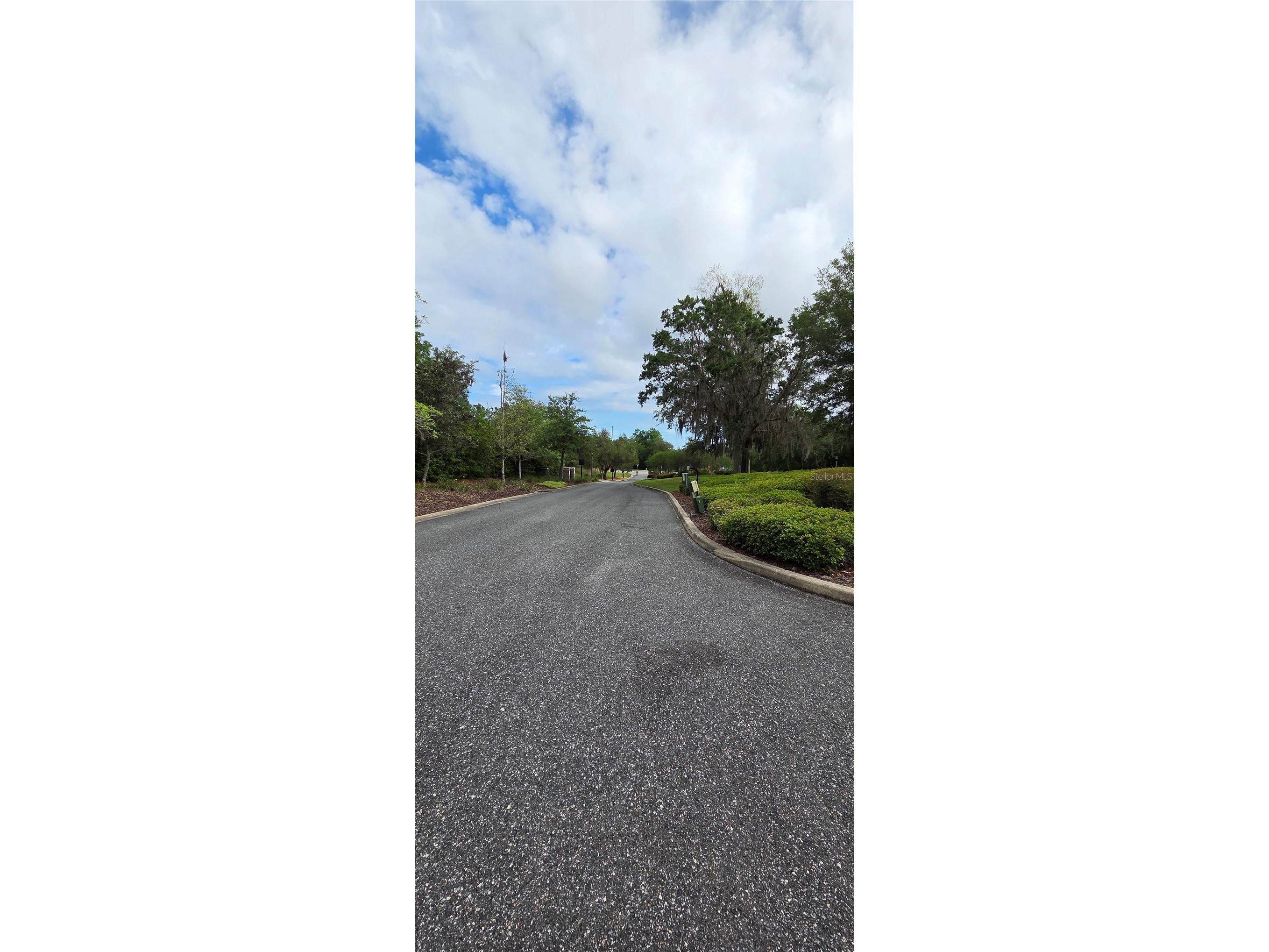 2392 N Heritage Oaks Path Hernando FL 34442 OM722452 image13