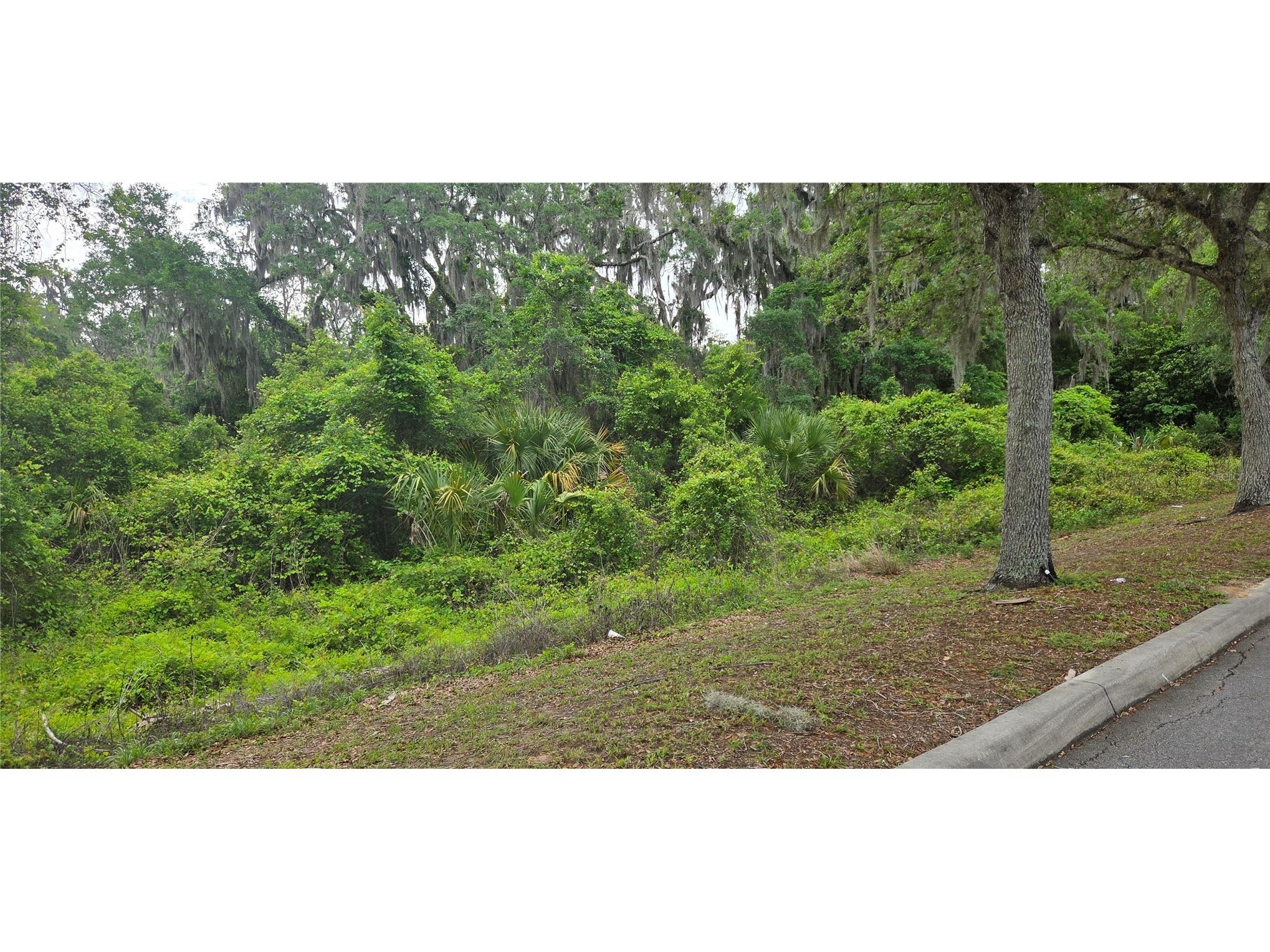 2392 N Heritage Oaks Path Hernando FL 34442 OM722452 image2