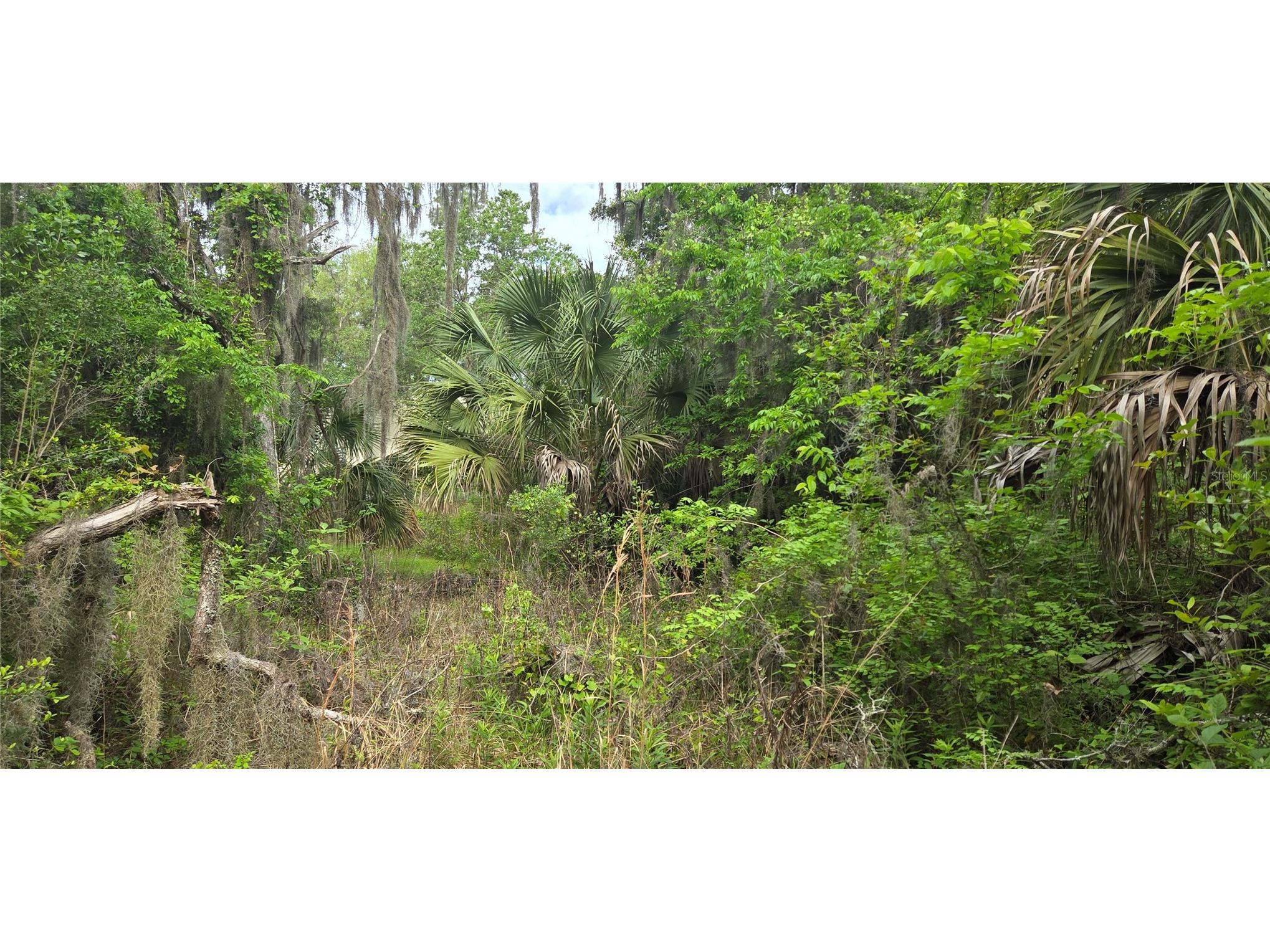 2392 N Heritage Oaks Path Hernando FL 34442 OM722452 image3