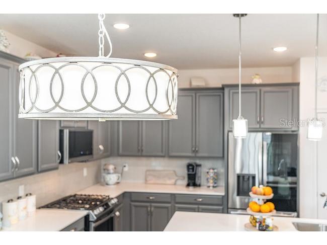 2392 Sirena Lane Mount Dora FL 32757 O6384432 image10