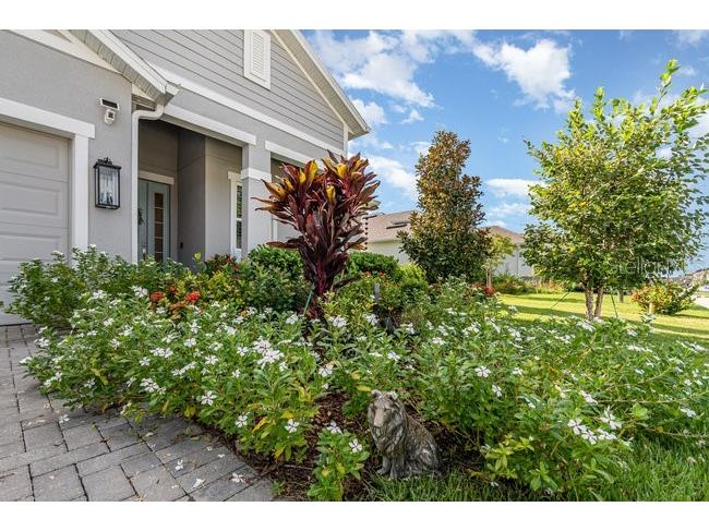 2392 Sirena Lane Mount Dora FL 32757 O6384432 image2