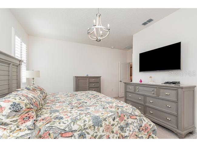 2392 Sirena Lane Mount Dora FL 32757 O6384432 image21