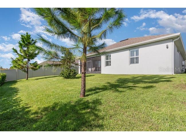 2392 Sirena Lane Mount Dora FL 32757 O6384432 image27