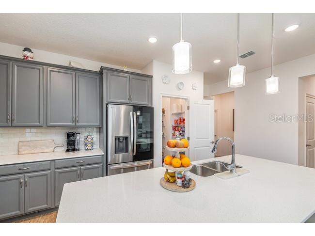 2392 Sirena Lane Mount Dora FL 32757 O6384432 image33