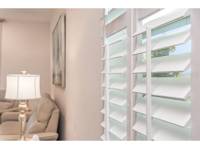 2392 Sirena Lane Mount Dora FL 32757 O6384432 image6