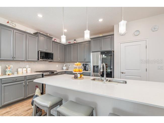 2392 Sirena Lane Mount Dora FL 32757 O6384432 image8