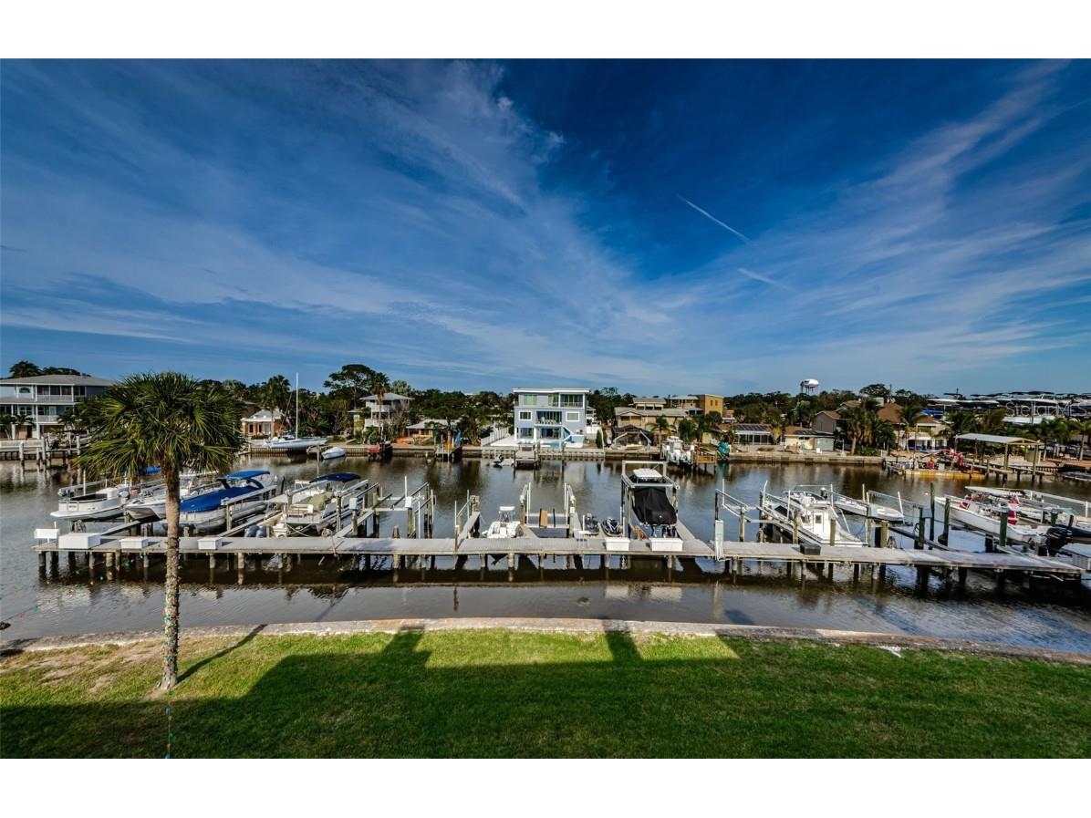 2393 Hanover Drive Dunedin FL 34698 - CURLEW CREEK U8223137 image1