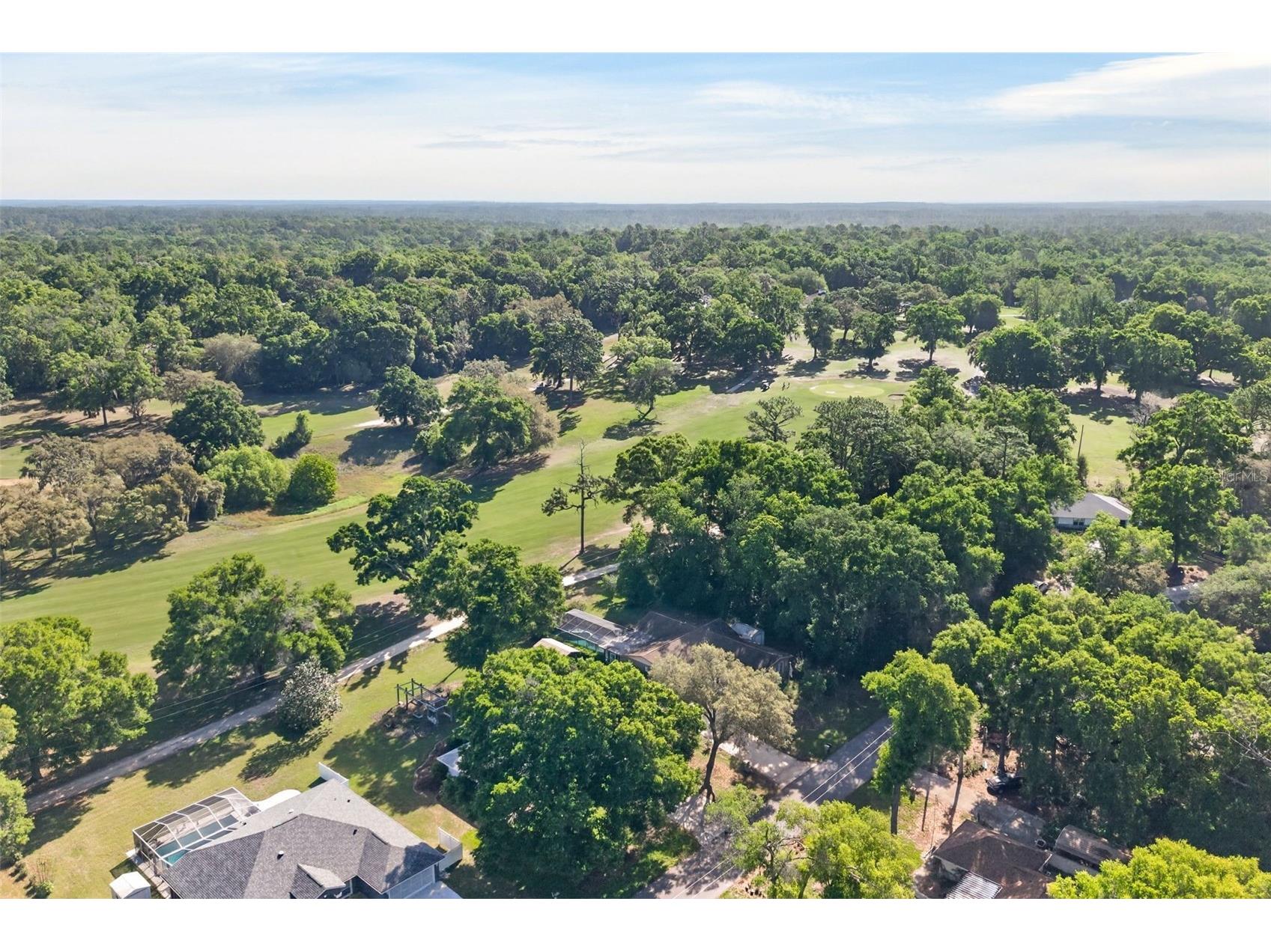 2393 W Fairway Loop Citrus Springs FL 34434 OM722971 image38