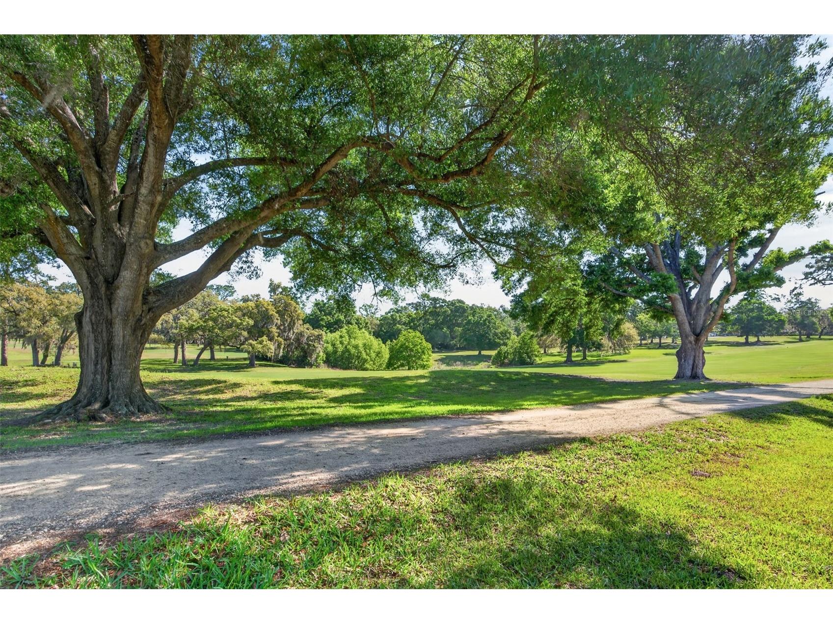 2393 W Fairway Loop Citrus Springs FL 34434 OM722971 image40