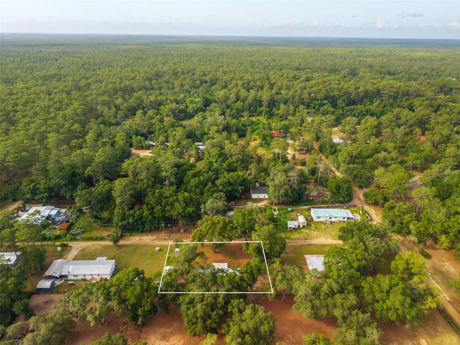 23939 NE 121 Lane Salt Springs FL 32134 O6410827 image40