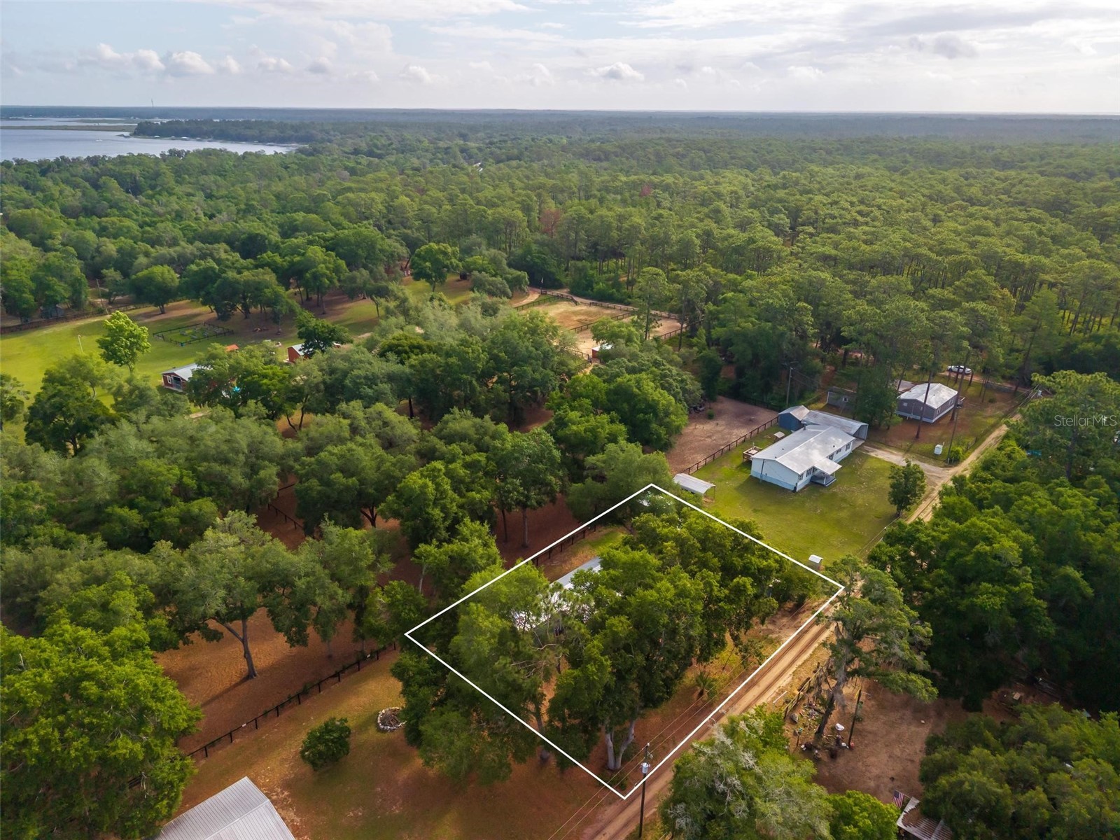23939 NE 121 Lane Salt Springs FL 32134 O6410827 image43