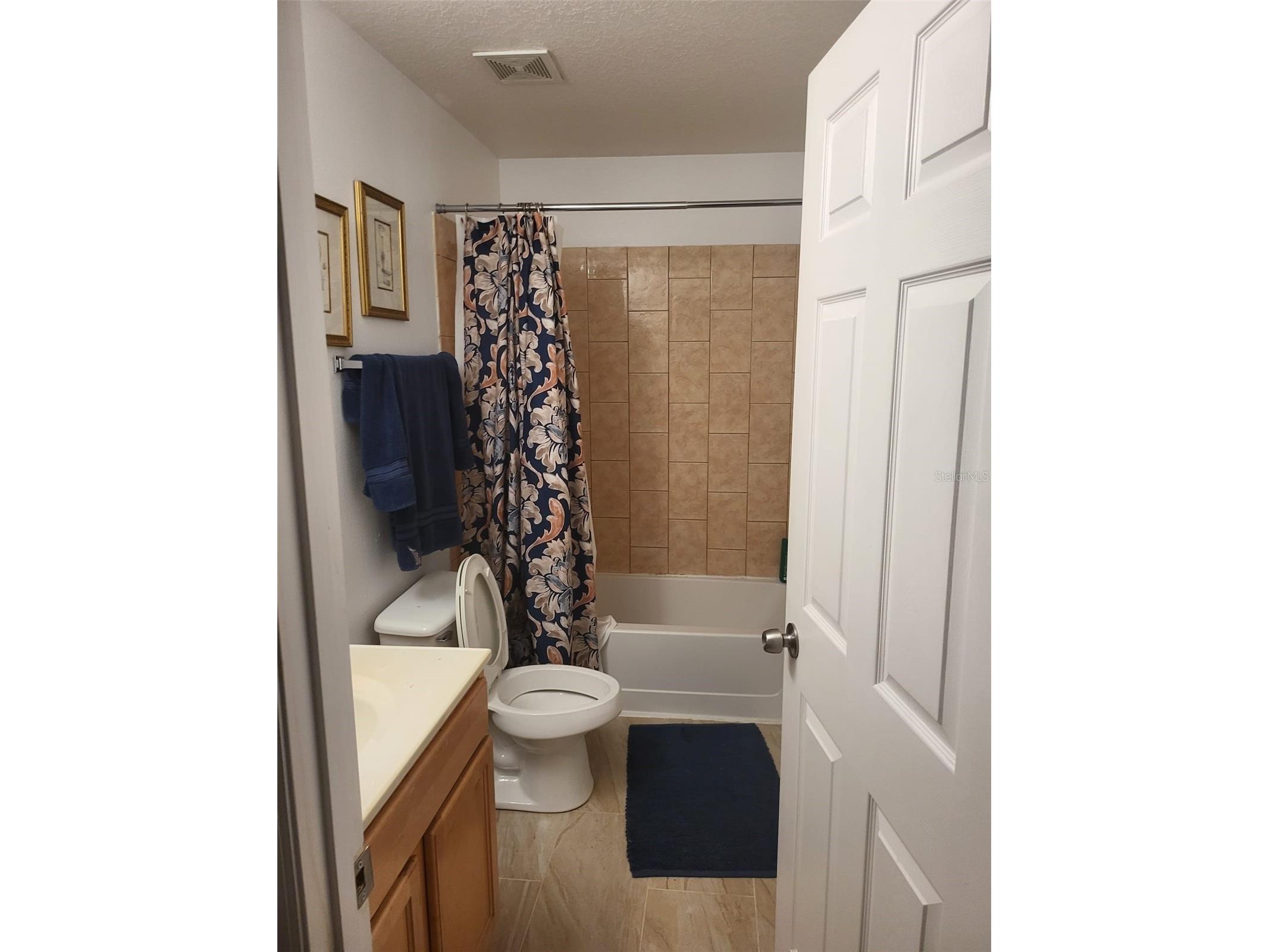 2394 Great Harbor Drive Kissimmee FL 34746 S5146469 image26