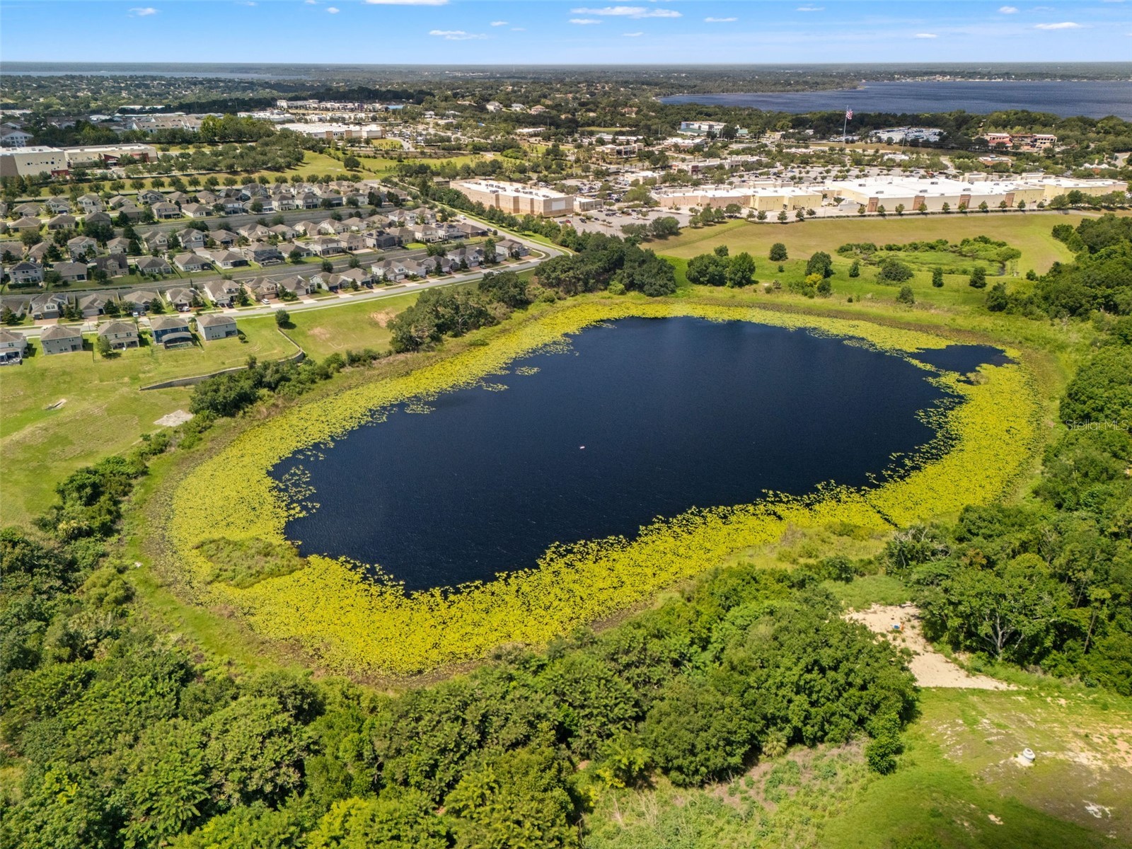 2394 Hastings Boulevard Clermont FL 34711 - LAKE WILMA O6417993 image41