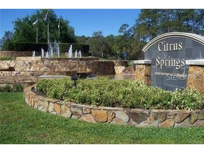 2394 W Alton Street Citrus Springs FL 34434 O6384791 image50