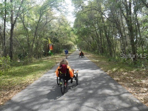 2394 W Alton Street Citrus Springs FL 34434 O6384791 image54