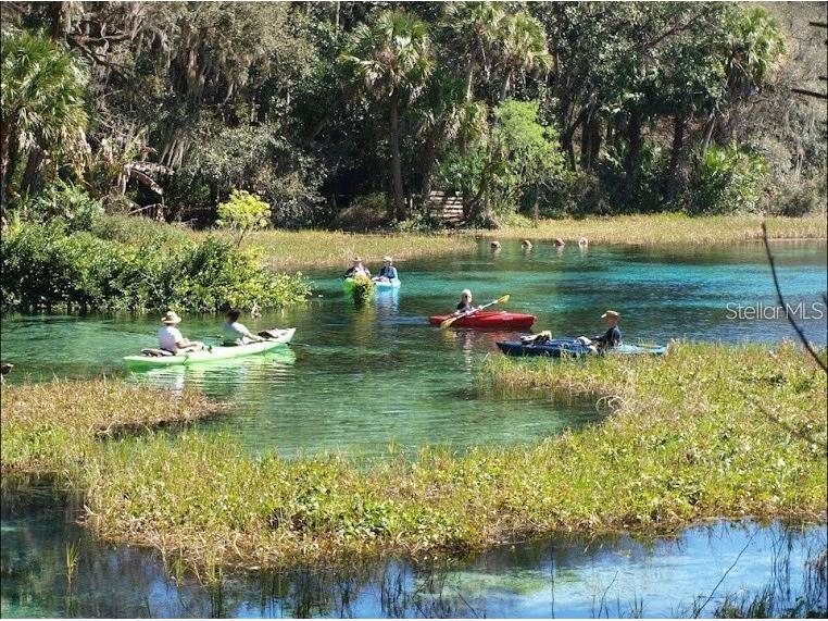 2394 W Alton Street Citrus Springs FL 34434 O6384791 image61
