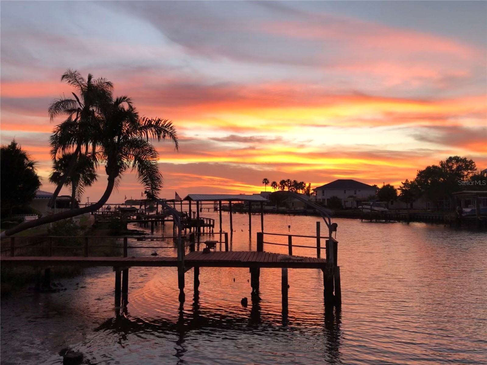 2395 Hanover Dr Dunedin FL 34698 - CURLEW CREEK TB8517365 image63