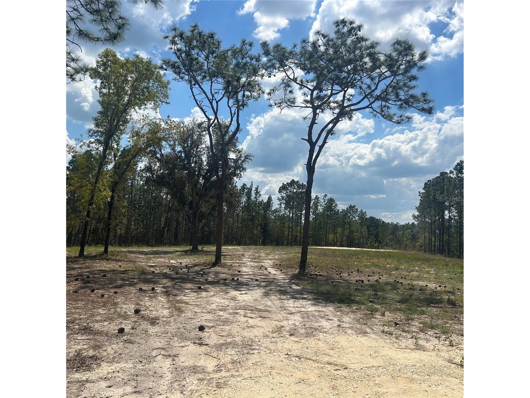 2395 NW 81st Avenue Wildwood FL 34785 G5108925 image14