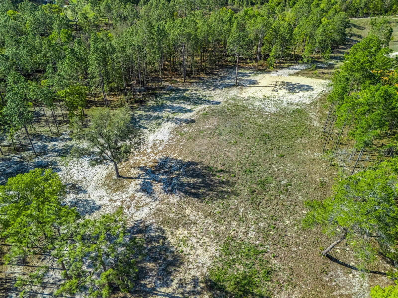2395 NW 81st Avenue Wildwood FL 34785 G5108925 image4