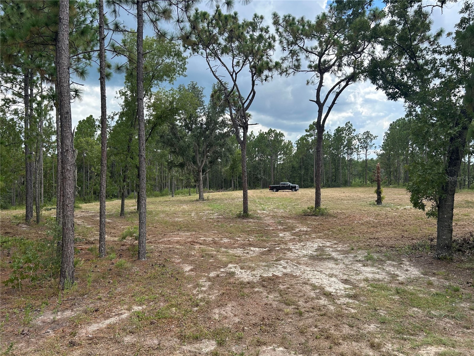 2395 NW 81st Avenue Wildwood FL 34785 G5108925 image8
