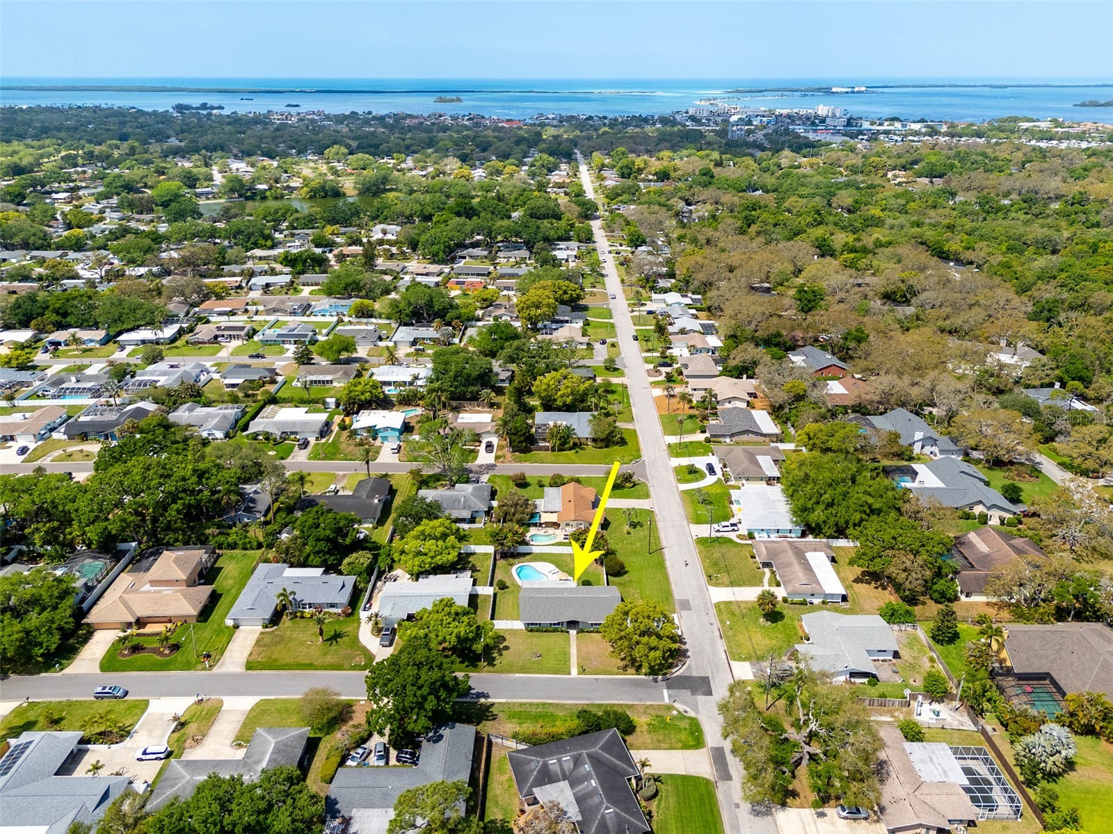 2396 Mangrum Dr Dunedin FL 34698 TB8493930 image33