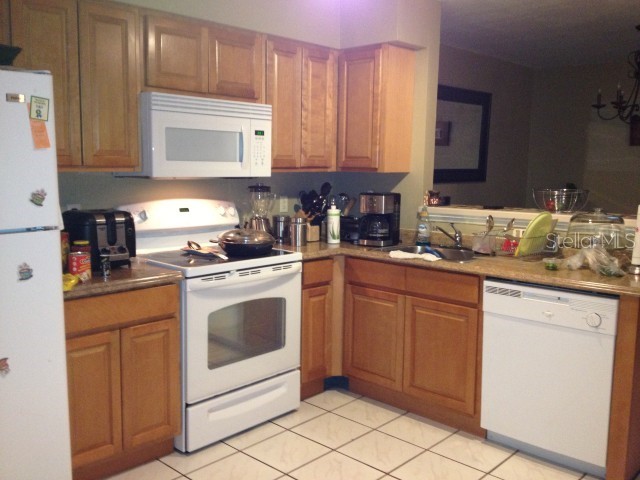 2396 Turpin Drive Orlando FL 32837 S5140162 image11