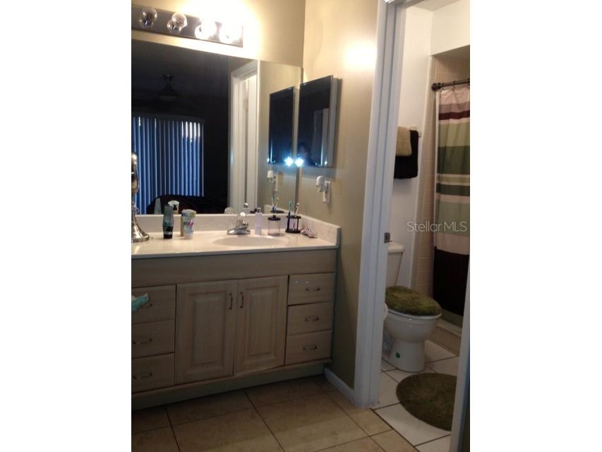 2396 Turpin Drive Orlando FL 32837 S5140162 image7