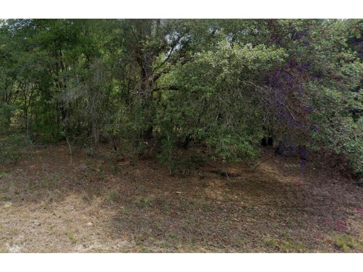 2396 W Magenta Drive Citrus Springs FL 34434 J994882 image1