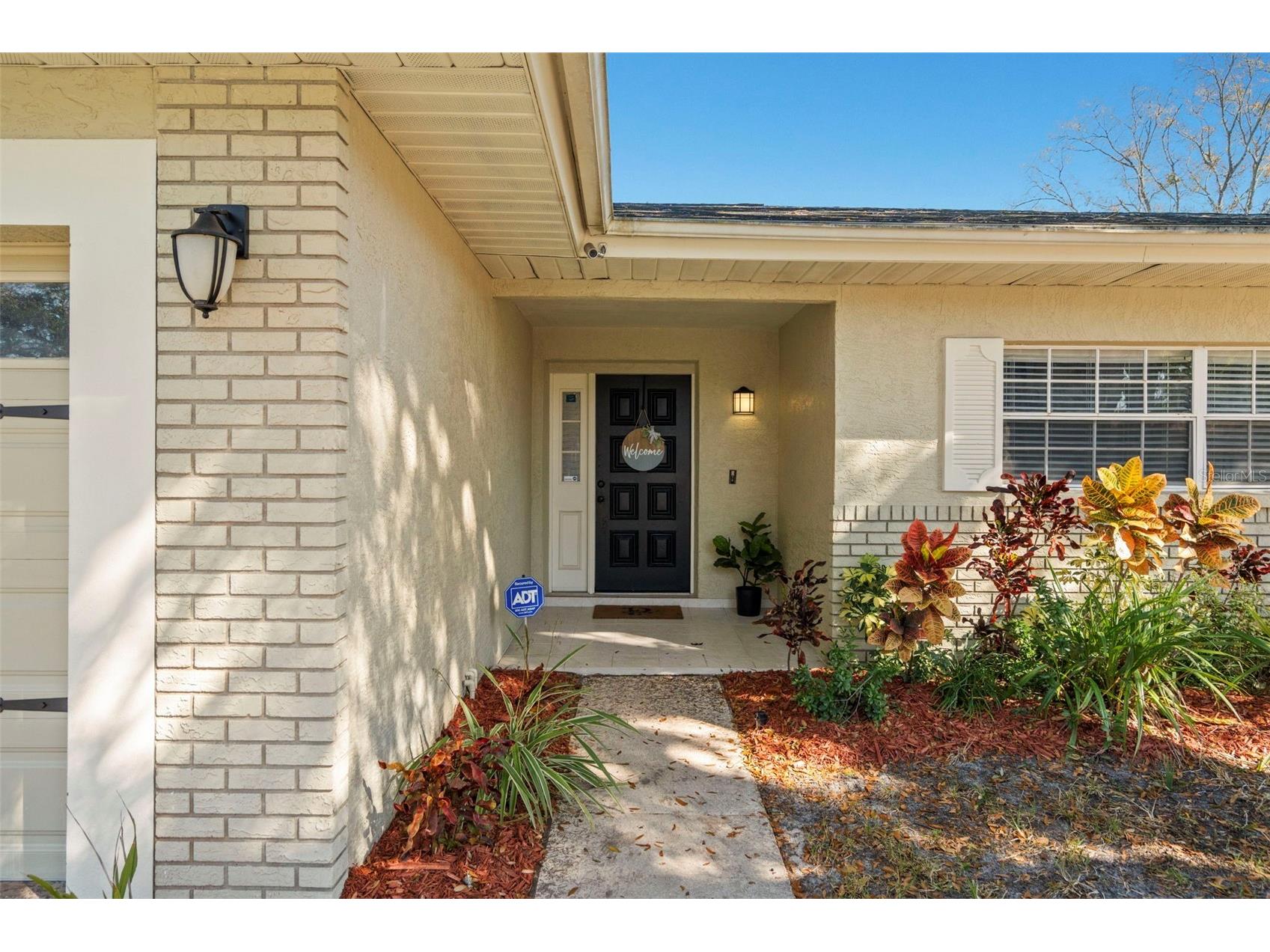 2397 E Orangehill Avenue Palm Harbor FL 34683 TB8478826 image4