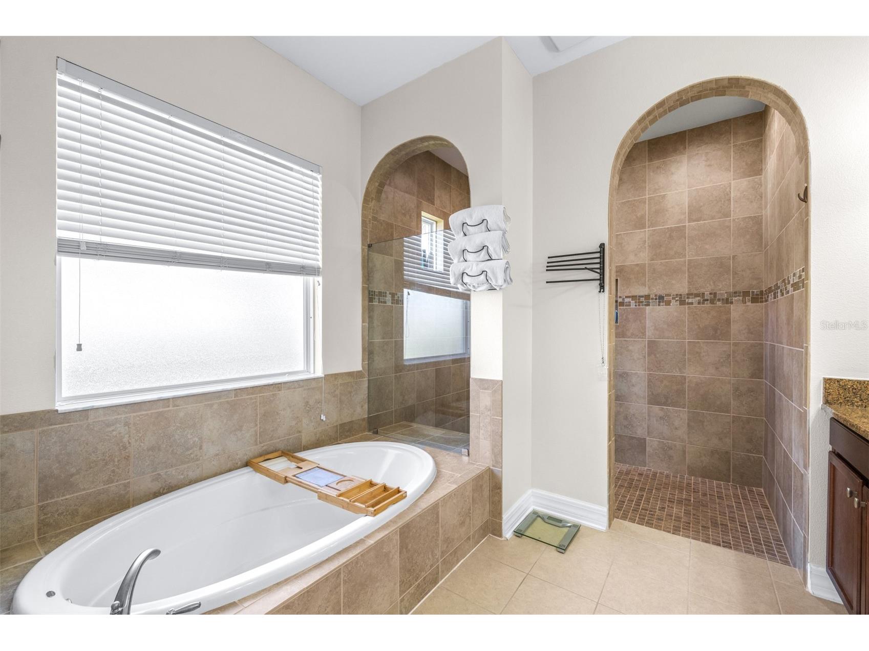 2397 Gwynhurst Boulevard Wesley Chapel FL 33543 TB8497747 image28