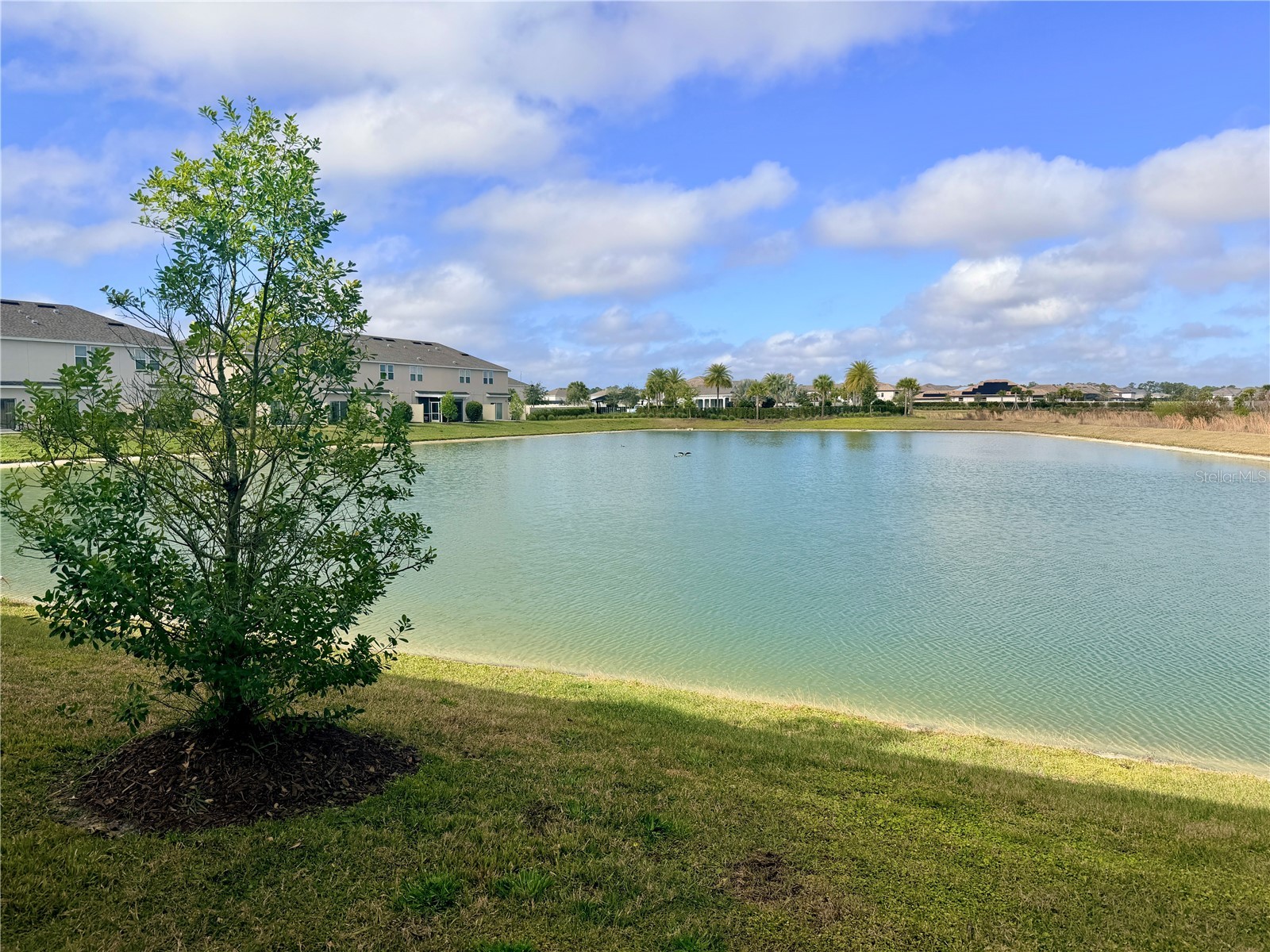 2397 Paravane Way Wesley Chapel FL 33543 TB8479107 image18