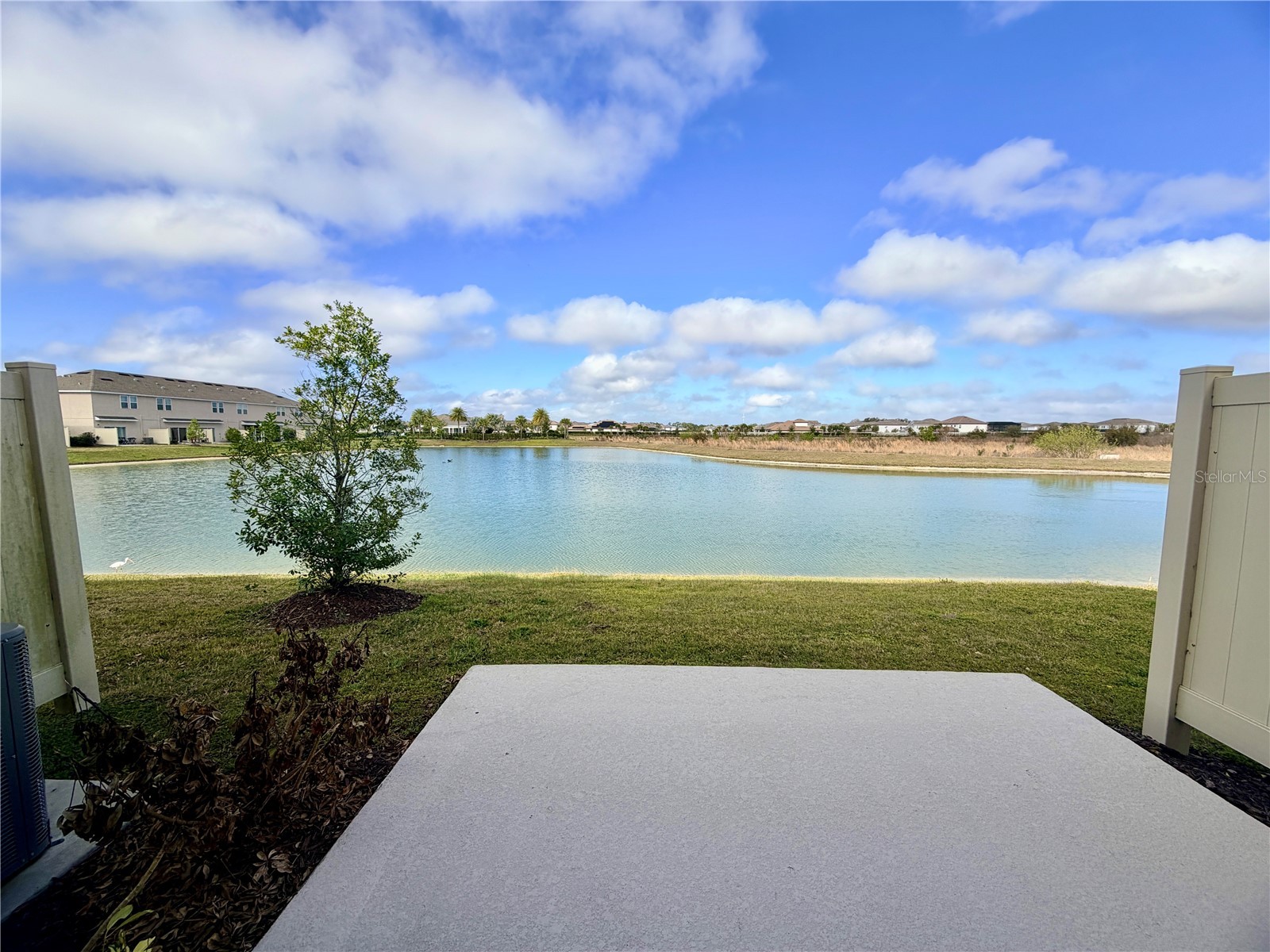 2397 Paravane Way Wesley Chapel FL 33543 TB8479107 image21