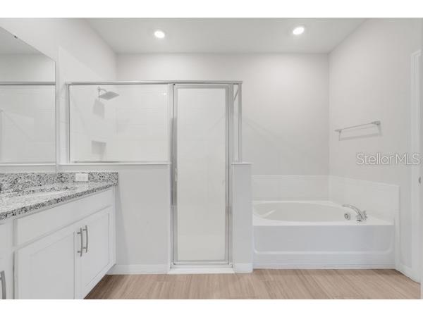 2398 Greenwood Oak Drive Ocoee FL 34761 P4937523 image18